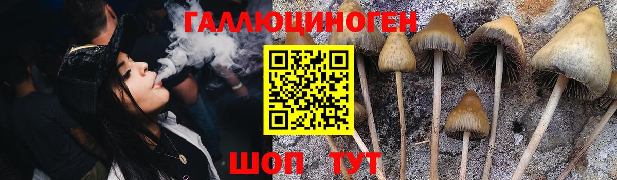 Гагарин  Галлюциногенные грибы Psilocybe  где продают наркотики  Вход с VPN 