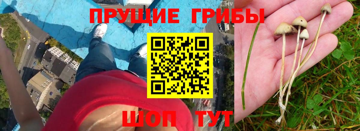 Галлюциногенные грибы ЛСД Гагарин